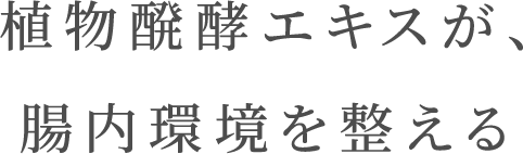 植物醗酵エキスが、腸内環境を整える