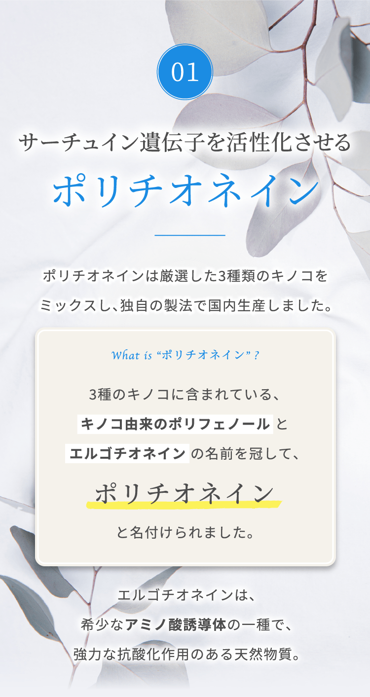 サーチュイン遺伝子を活性化させるポリチオネイン