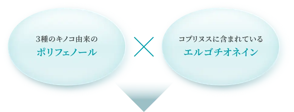 3種のキノコ由来のポリフェノール×コプリヌスに含まれているエルゴチオネイン
