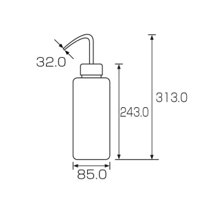 20294